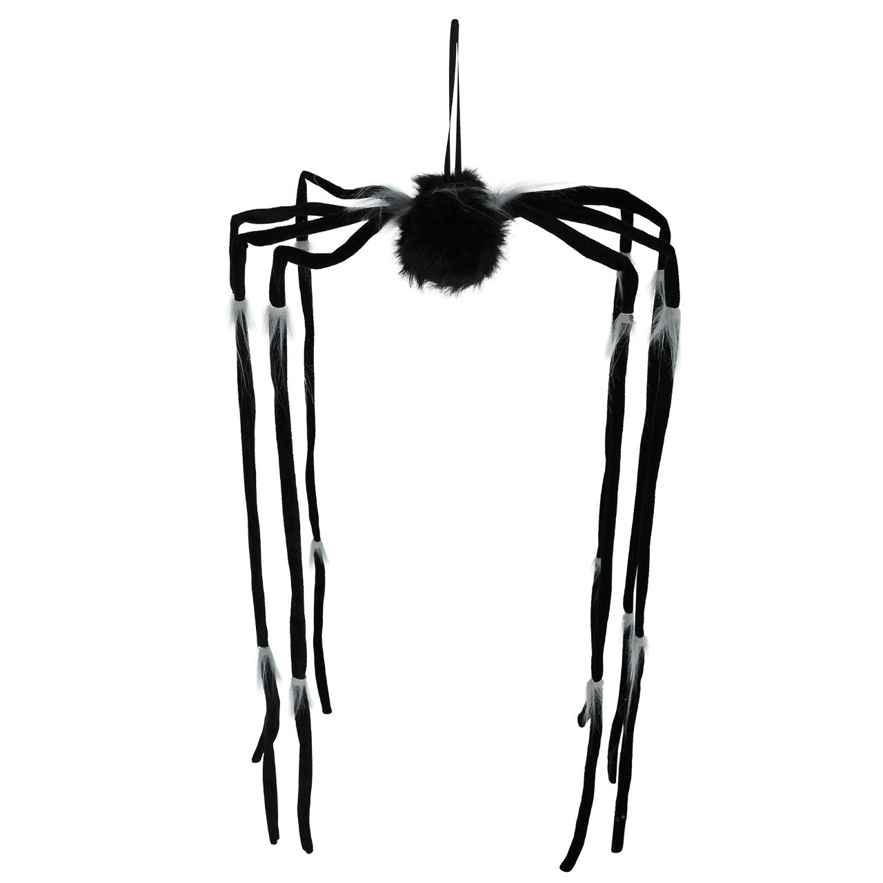 Aranha Pendurada