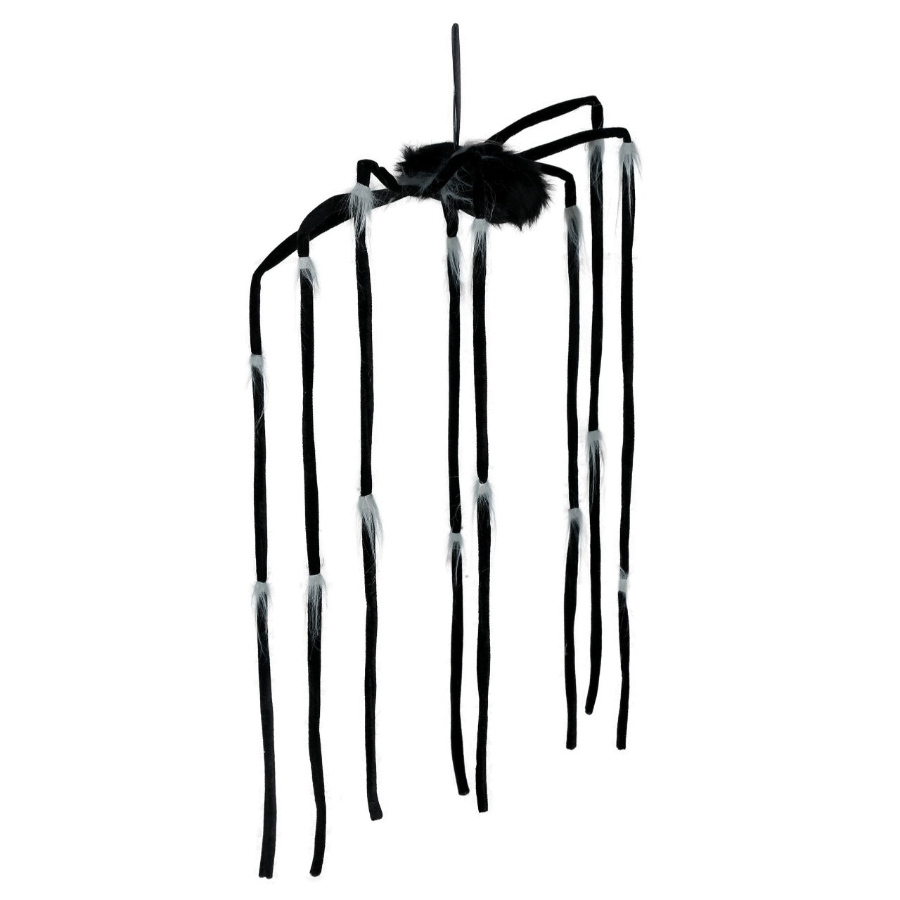 Aranha Pendurada