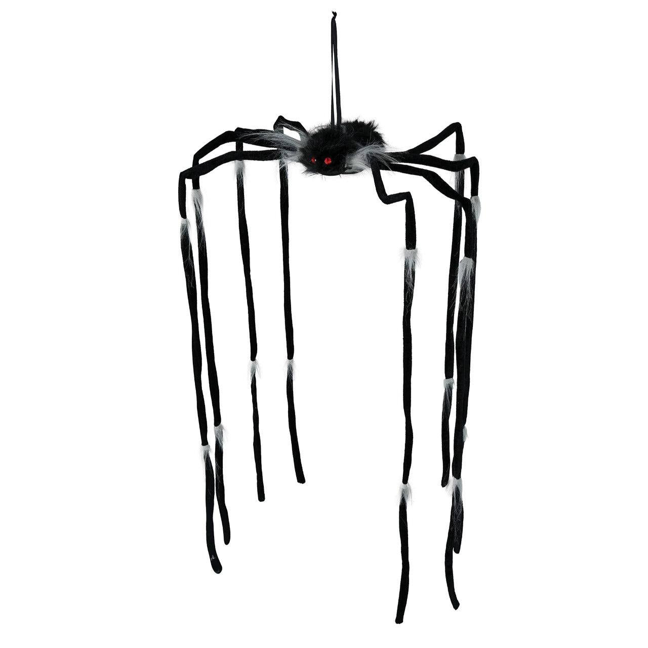 Aranha Pendurada