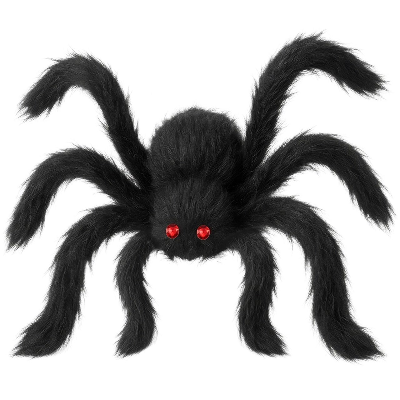 Aranha Negra Peluda Gigante