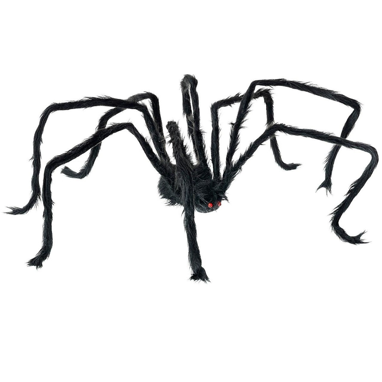 Aranha Preta XL