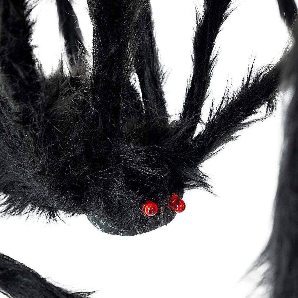 Aranha Preta XL