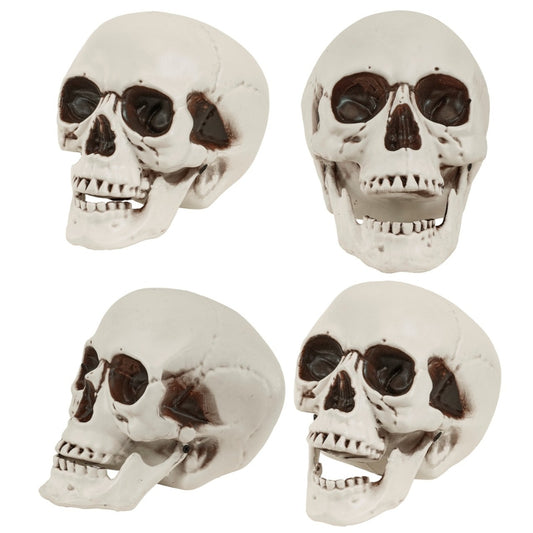 Caveira com Mandíbula Móvel