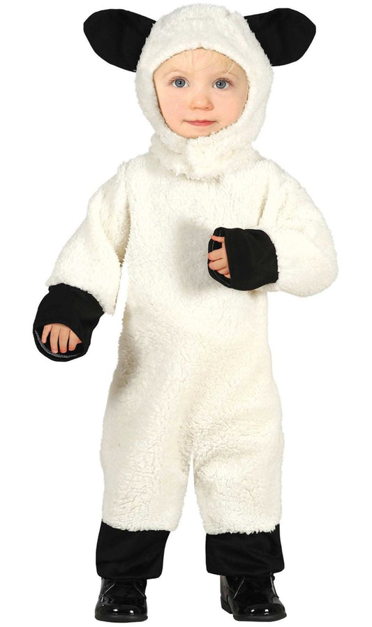 Fatos en grupo Ovelha Suffolk