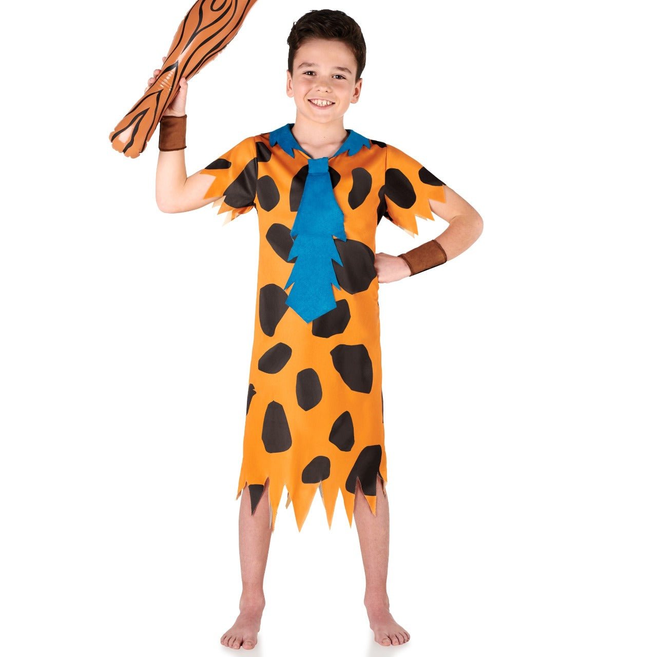 Fatos em grupo dos Flintstones Cavernícolas