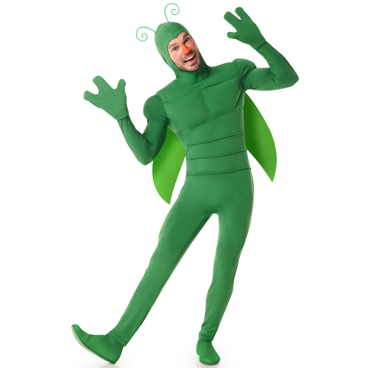 Fato de Inseto Verde para homem