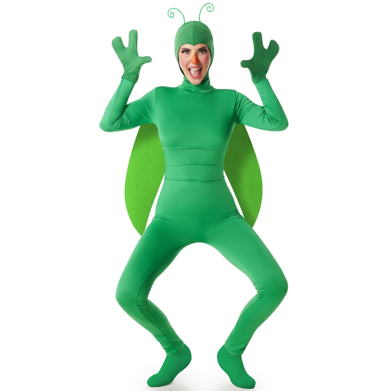 Fato de Inseto Verde para mulher