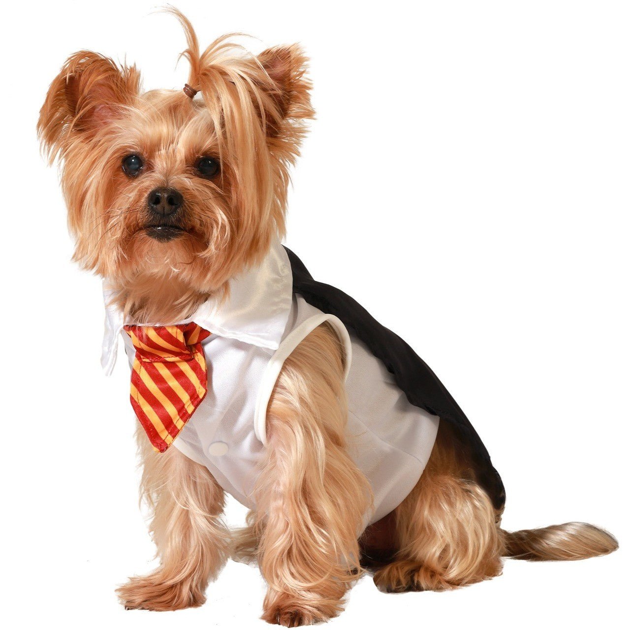 Fato de Mágico Harry Escola para Cão