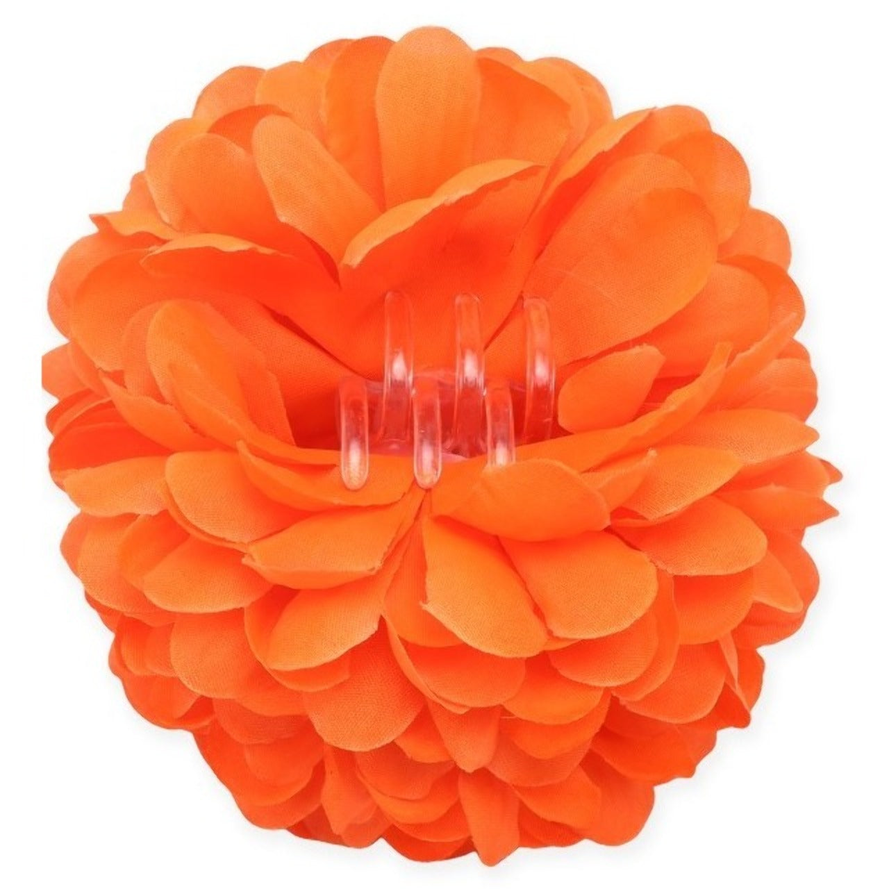 Flor de laranjeira sevillana