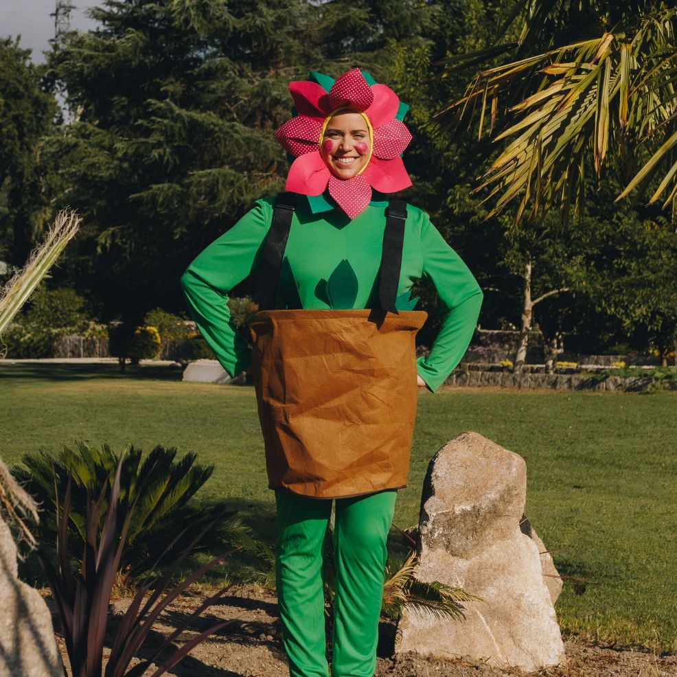 disfraz planta