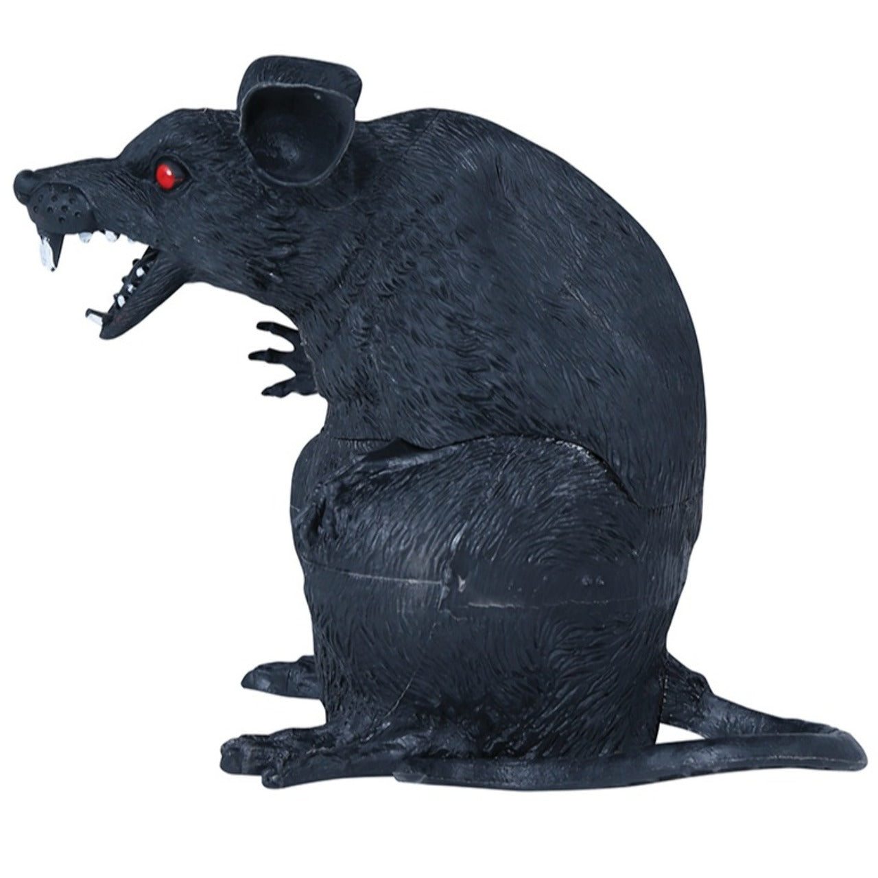 Rato Sentado