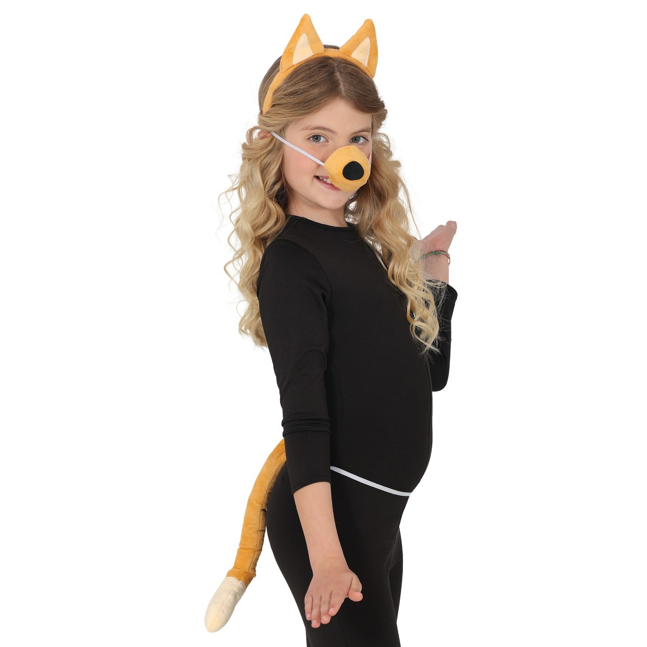 Conjunto de Cão Castanho Chilli