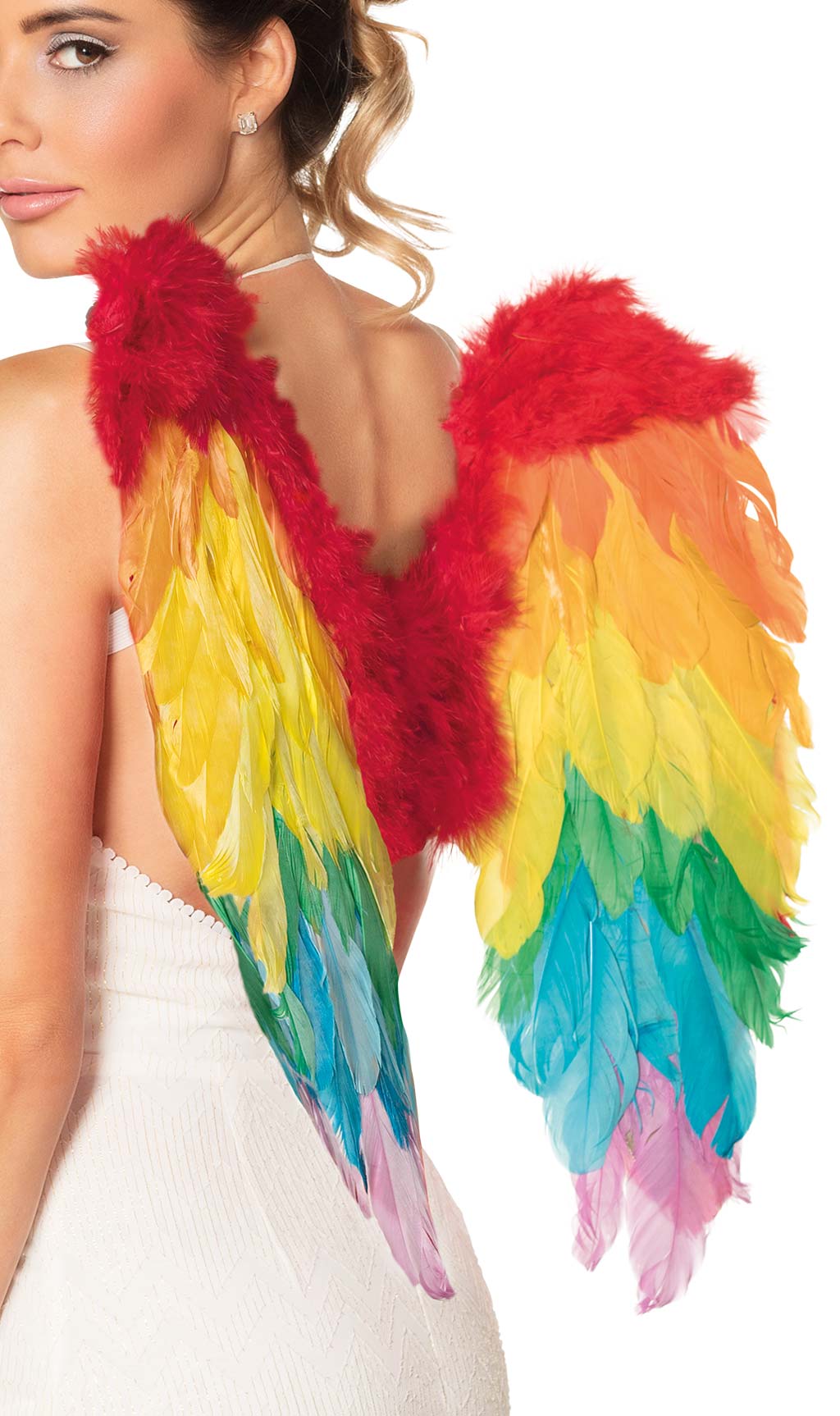Asas com Plumas de Arco íris