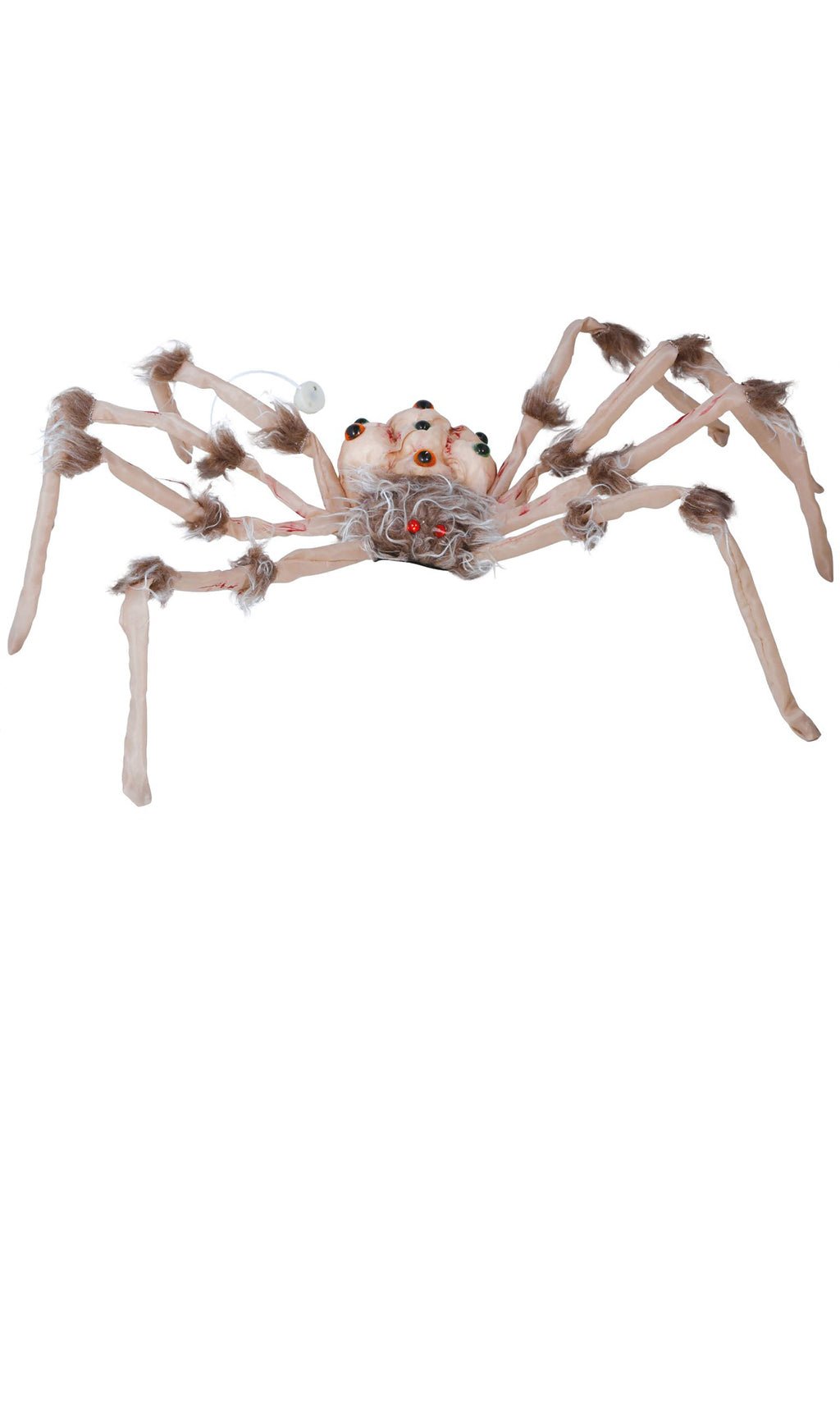 Aranha Olhos com Luz