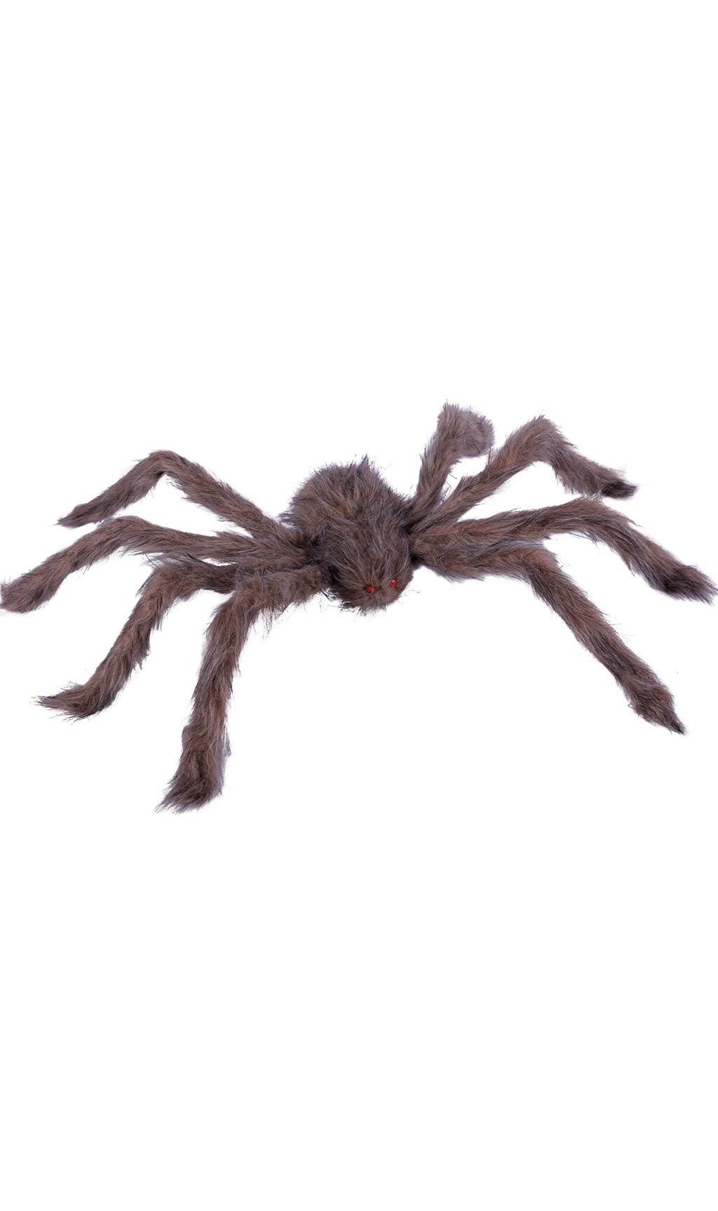 Aranha Peluda XL