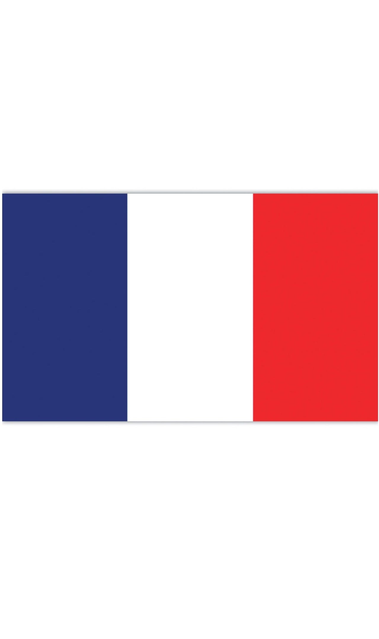 Bandeira de França