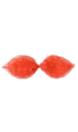 Bigode Ruivo