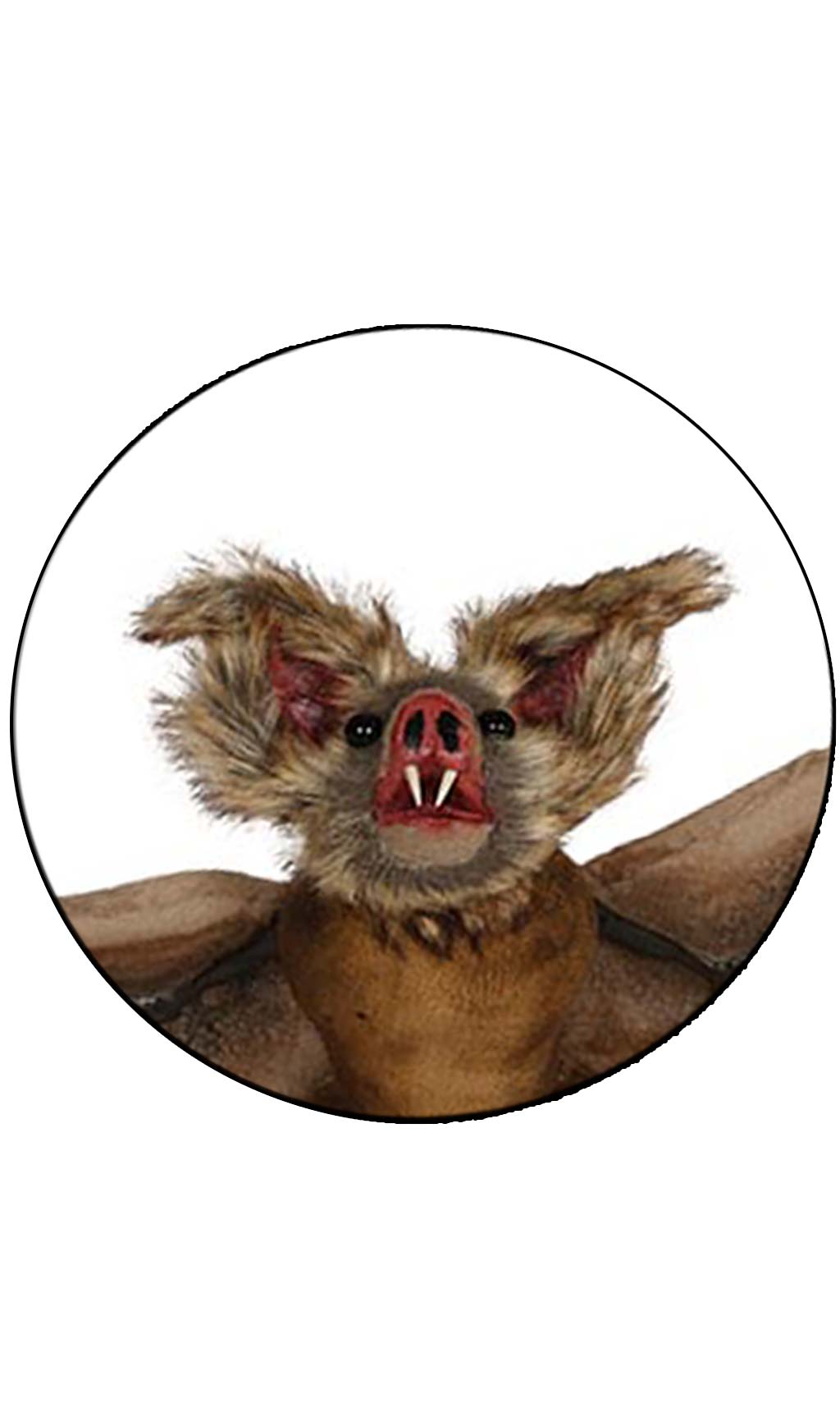 Morcego Castanho Pendurado