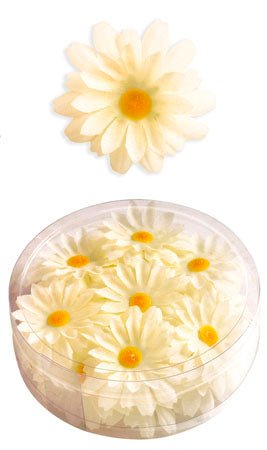 Margaritas Decorativas