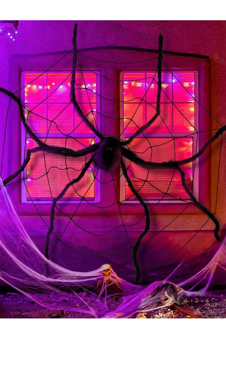 Teia de Aranha com Aranha Gigante