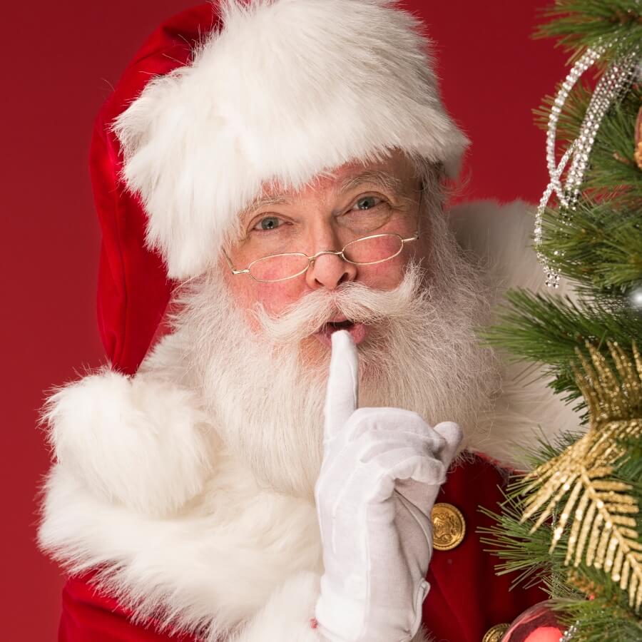Disfraz de Navidad para hombre