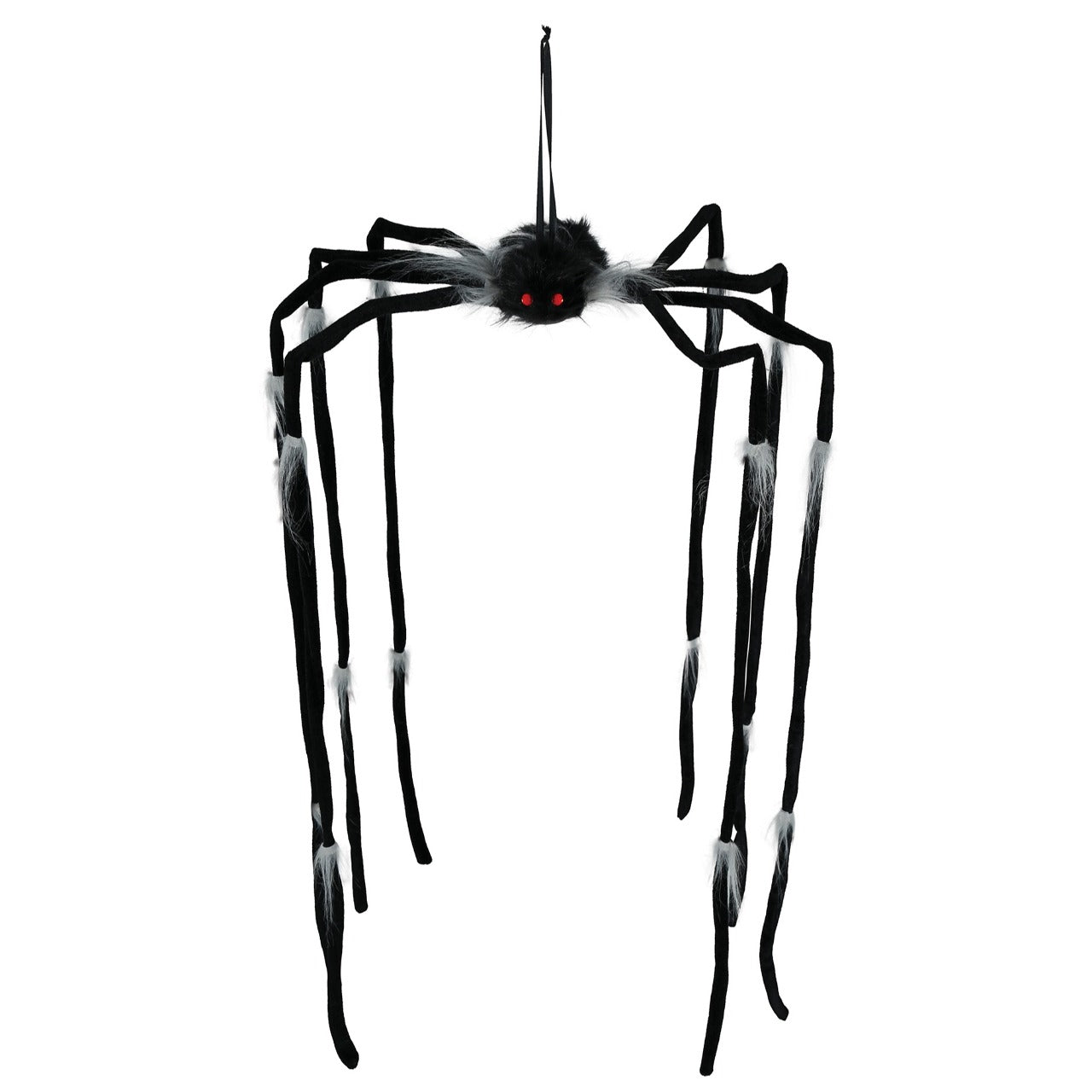Aranha Pendurada
