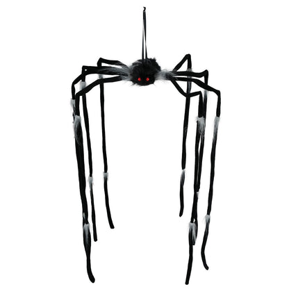 Aranha Pendurada