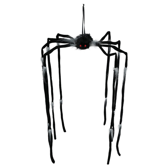 Aranha Pendurada