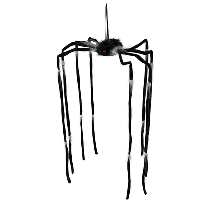 Aranha Pendurada