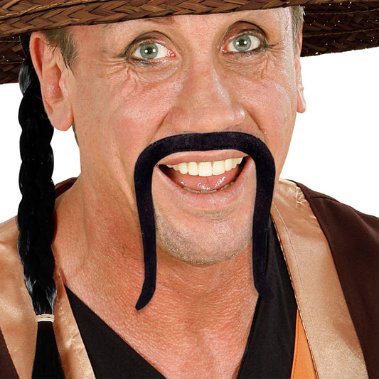 Bigode de Samurai