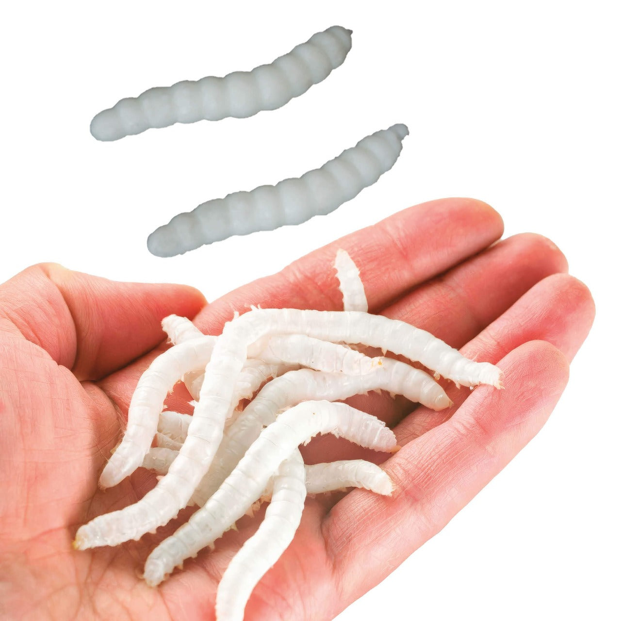 Saco de 20 Minhocas Elásticas