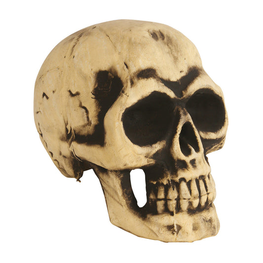 Crânio Grande de Espuma