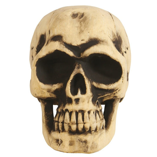 Crânio Grande de Espuma