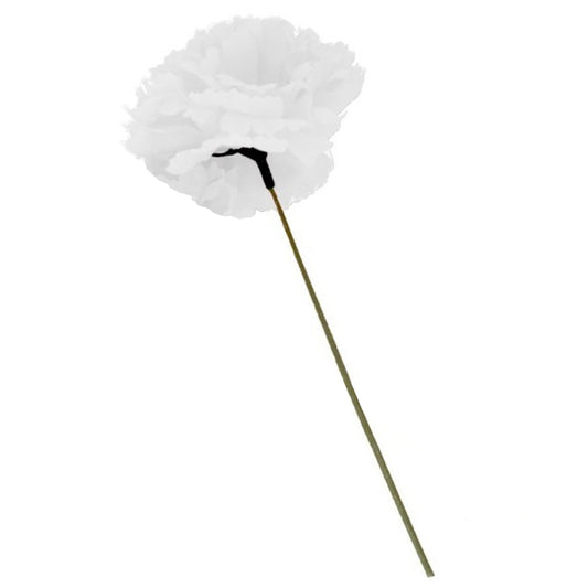 Cravo Branco com Pau