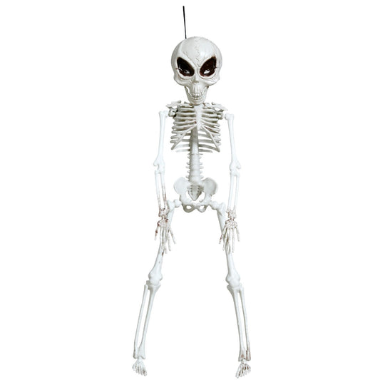 Esqueleto Alienígena Pendurado
