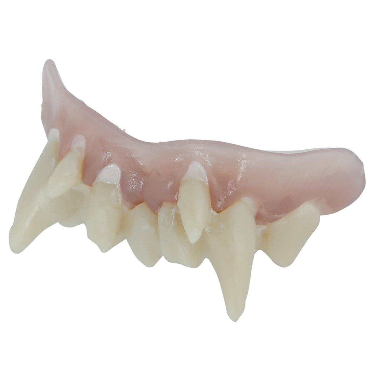 Dentadura de Vampiro com Termoplástico