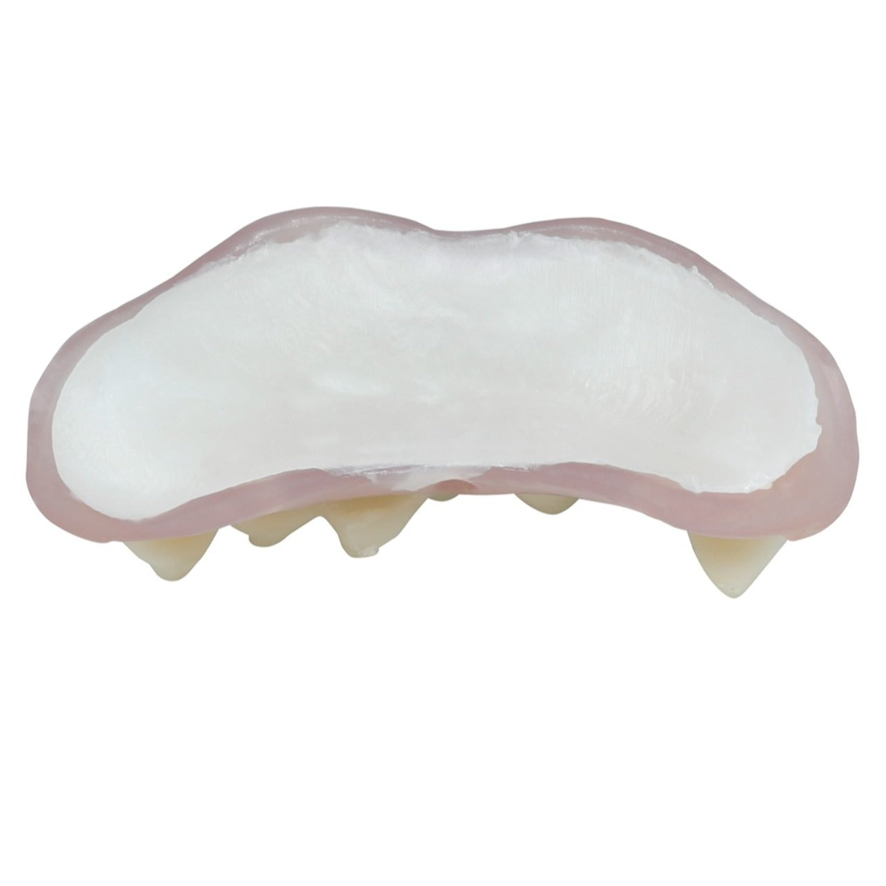 Dentadura de Vampiro com Termoplástico