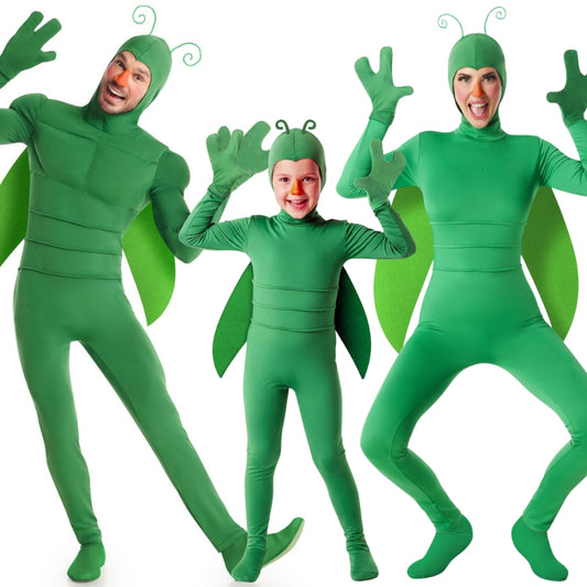 Fatos de grupo de insetos verdes