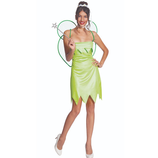 Fato de de Fada Corajosa para mulher