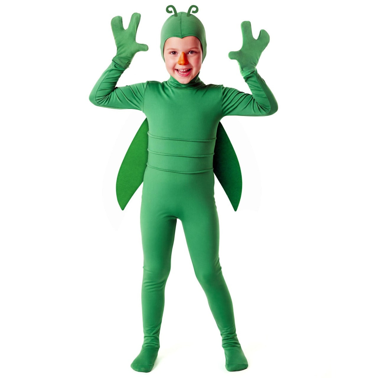 Fato de Insecto Verde infantil