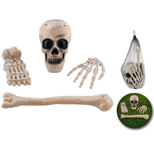 Ossos de Esqueleto