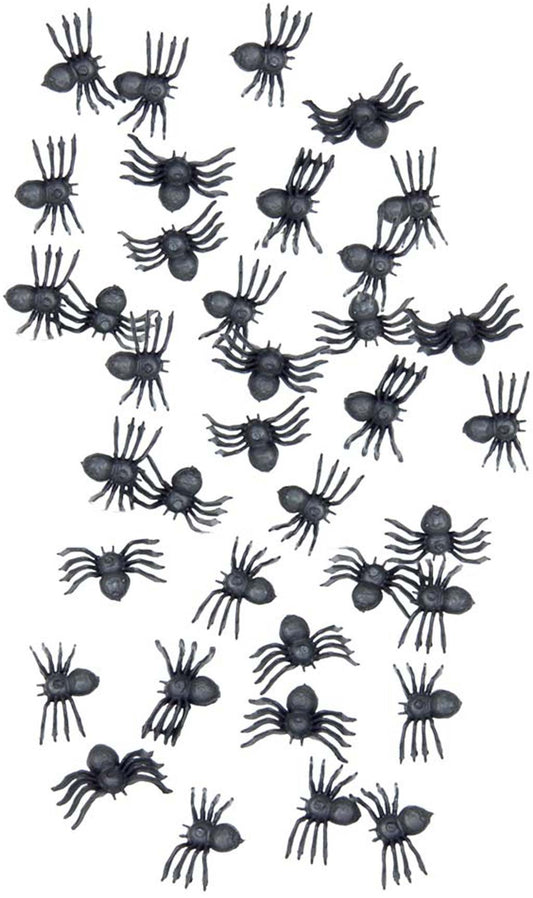 Saco com 70 aranhas