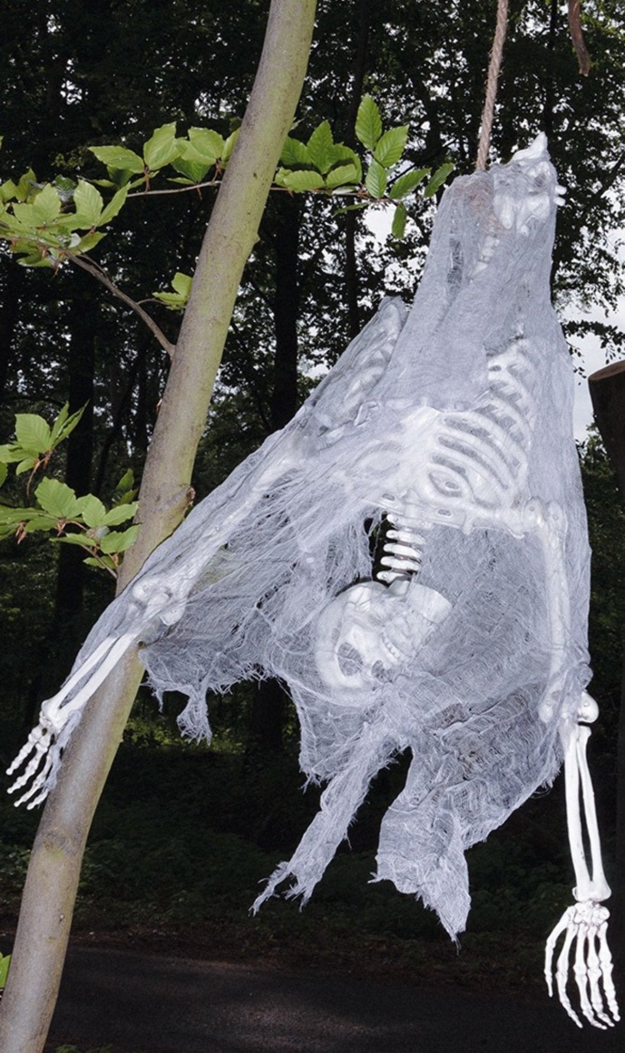 Esqueleto Invertido pendurado