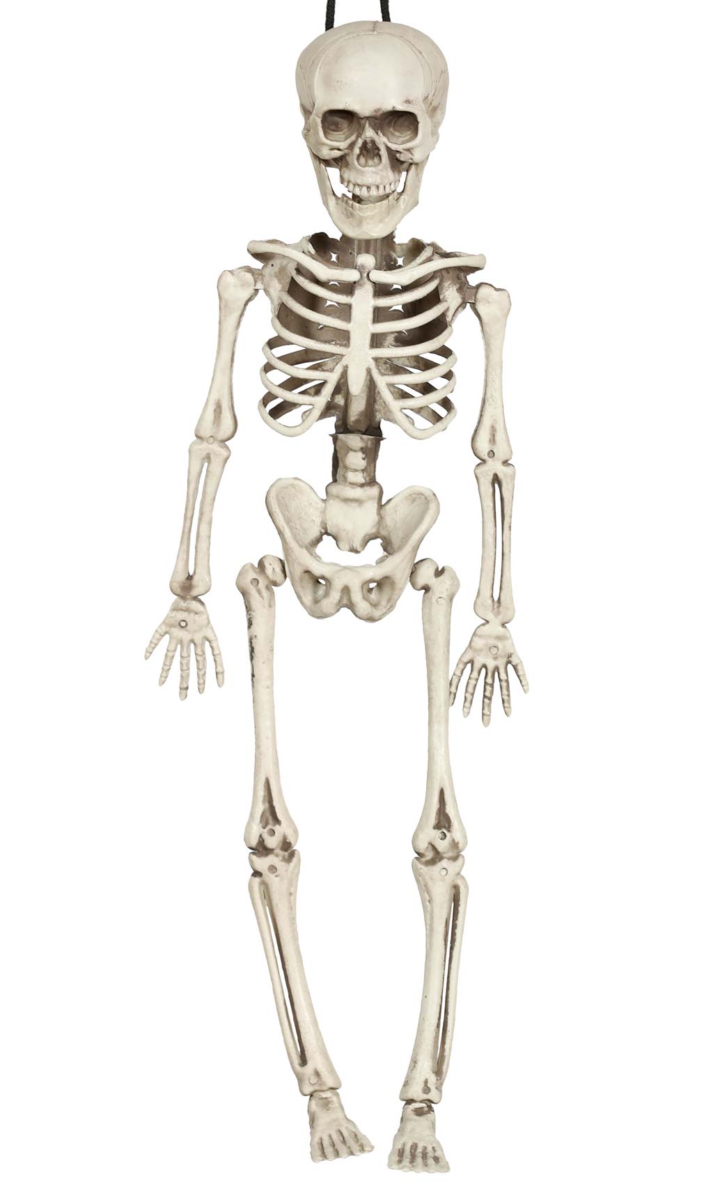 Esqueleto Clássico Pendurado