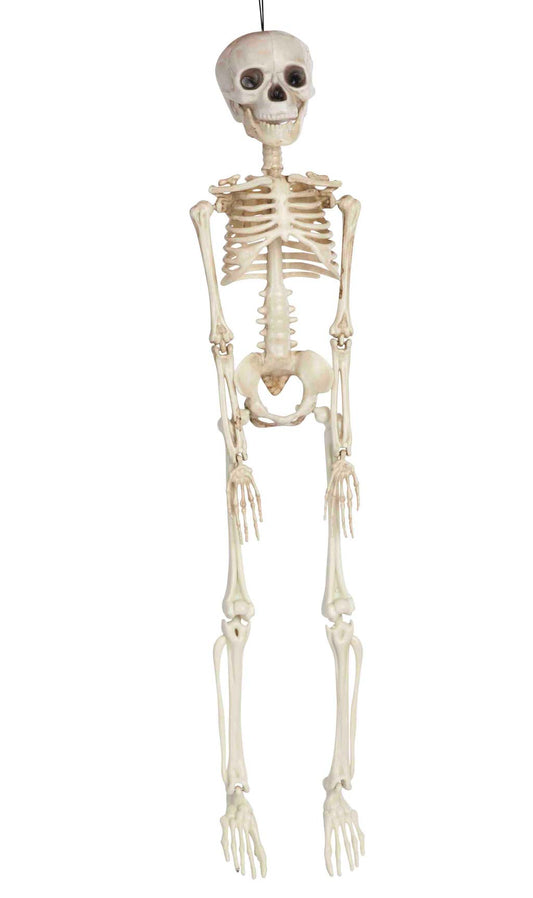Esqueleto Pequeno Pendurado