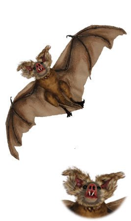 Suspensão de Morcego Castanho