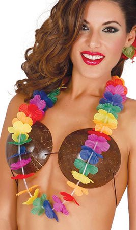 Colar Havaiano Colorido