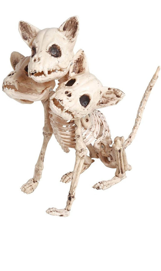 Esqueleto de Cão com Três Cabeças