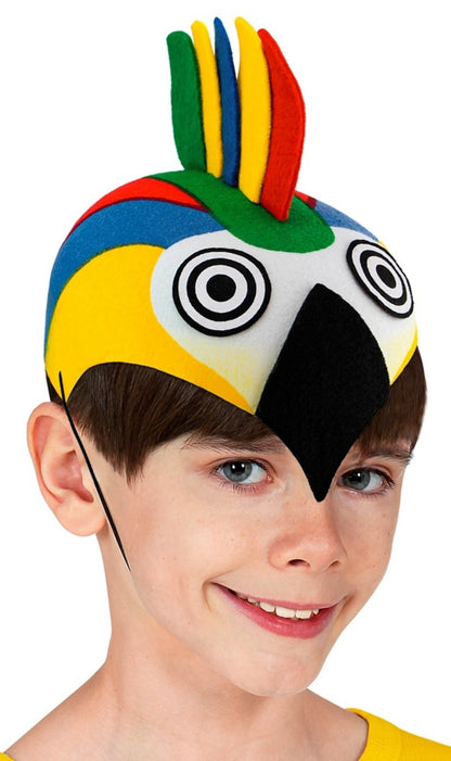 Chapéu de Papagaio Multicolorido