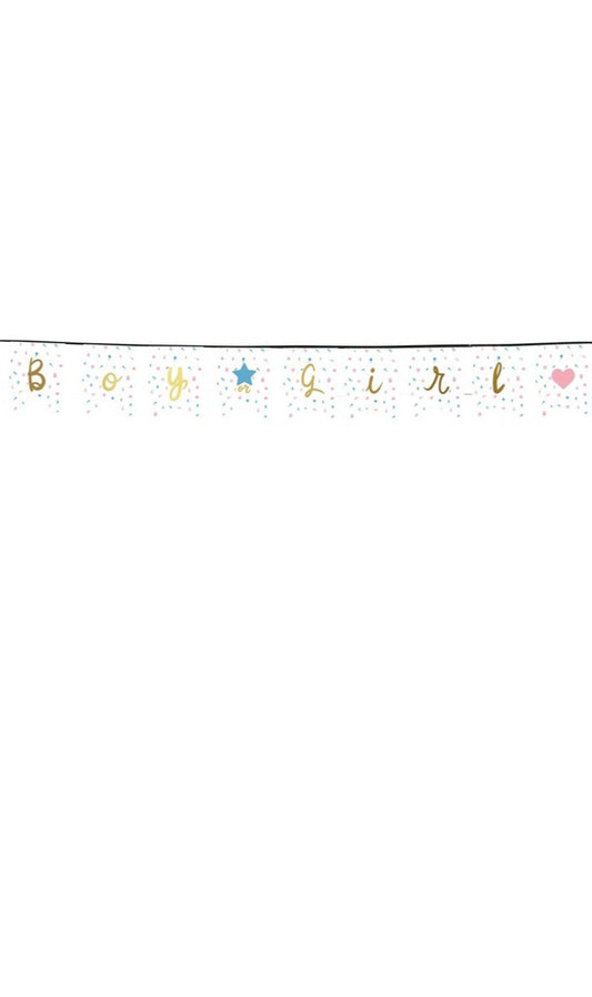 Guirlanda Gender Reveal bebê